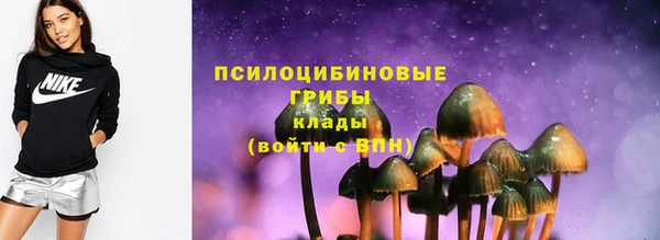 бошки Краснослободск