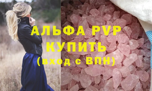 хмурый Корсаков